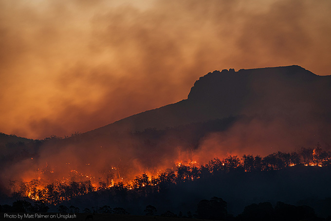forestfire.jpg