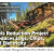 Fuels Reduction Project Produces Logs, Chips, and Electricity
