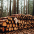Timber Tax Workshop