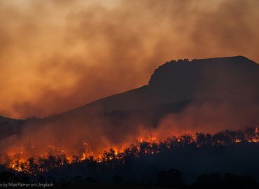 Fast -Tracking Wildfire Safety Projects